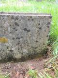 image of grave number 725550